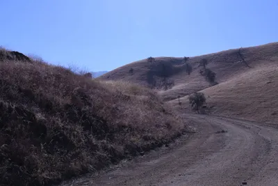 DSC_2174 (Large).JPG